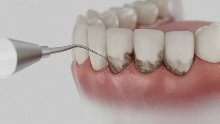 Reliable Dental contractor in Seis Lagos, TX by Dentist Open Now